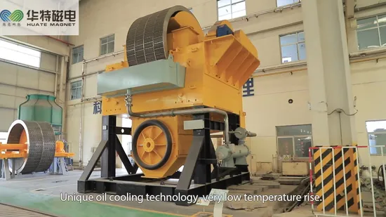 Machine de retrait de fer de séparateur magnétique de caprices bon marché de haute qualité à vendre