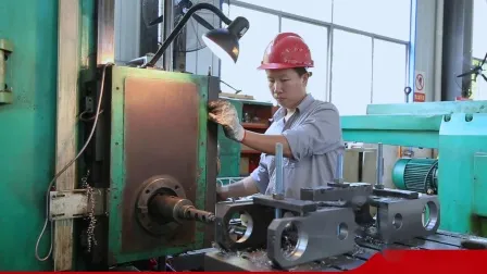 Séparateur magnétique humide de l'équipement minier d'or à petite échelle DLS